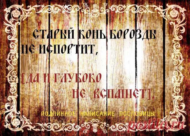 Народная мудрость