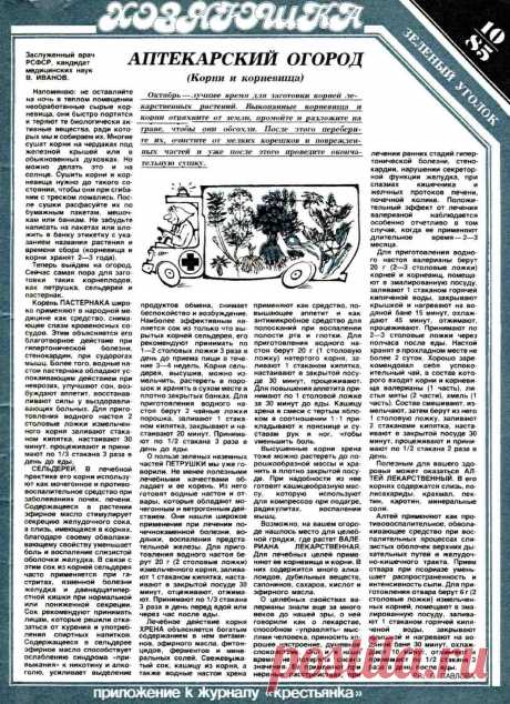 Аптекарский огород (корни и корневища)