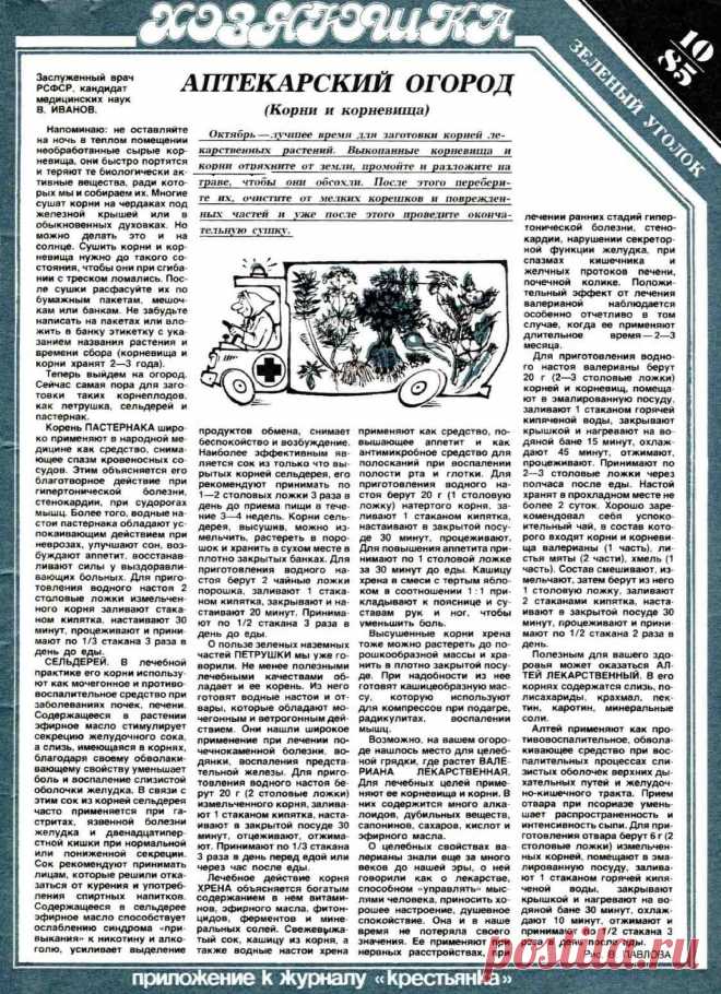 Аптекарский огород (корни и корневища)
