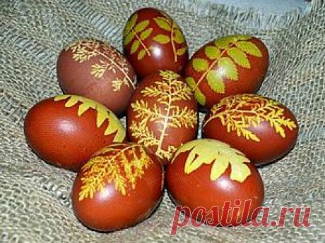 Без заголовка