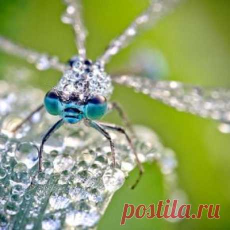 Titillating Photography | sillyreverie