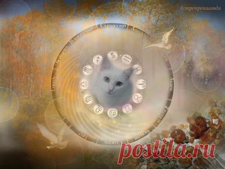 14.11.2019. Советы астролога. Венера в квадратуре с Нептуном | Астропропаганда | Яндекс Дзен
✨ Автор: астролог Нина Стрелкова. ✧ Советы астролога ✧ 14.11.2019 ✧ День несколько меланхоличный, может присутствовать рассеянность, разбросанность, несобранность. И растерянность, особенно когда дело касается выбора. Интуиция работает через раз. Иногда прозорливость необыкновенная (чаще в работе, не эмоциональном общении), а иногда все догадки мимо цели (чаще в личной жизни, домашнем быту)...