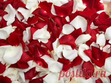 Урожайные секреты — 6 соток