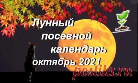 Лунный посевной календарь садоводов, огородников, цветоводов на Октябрь 2021 года (таблица), благоприятные дни | Дачный участок