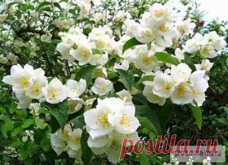 Татьяна Рузина – Google+