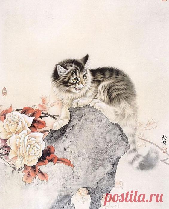 Сюй Синьци и его кошки - Китай.