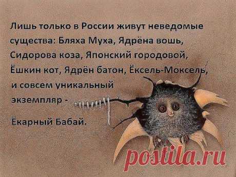 (17) Одноклассники