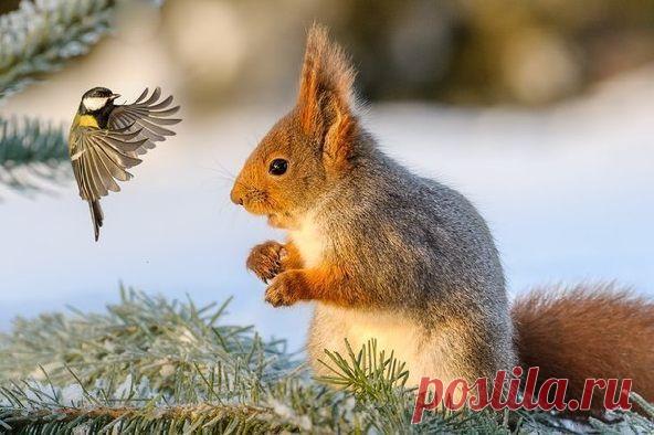 Мой Мир@Mail.Ru