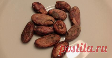 (8) Facebook
Наука и жизнь
31 мин. ·
Флавонолы, содержащиеся в какао-бобах, улучшают состояние нейронов в гиппокампе, так что память у человека начинает работать так, как если бы он был вдвое моложе.