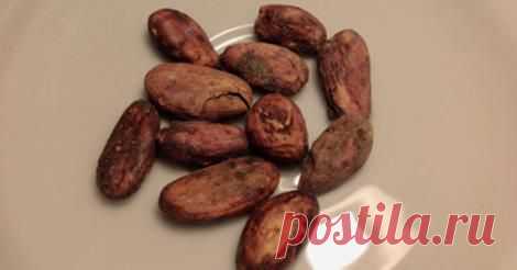 (8) Facebook

Наука и жизнь
31 мин. · 
Флавонолы, содержащиеся в какао-бобах, улучшают состояние нейронов в гиппокампе, так что память у человека начинает работать так, как если бы он был вдвое моложе.