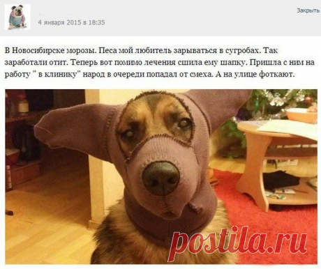 В крупную торговую компанию Орифлэйм требуется менеджер по оформлению дисконтных карт. Свободный график работы. Доход от 5000 рублей до 30000 рублей. Пишите в личку E-mail скину подробности.