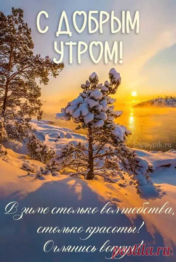 С добрым зимним утром открытка создаёт особое настроение в холодное время года, наполняя сердце теплом благодаря изображениям заснеженных пейзажей, уютных домиков с дымящимися трубами и тёплых пожеланий, которые помогают начать день с улыбки.