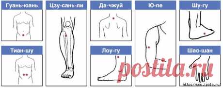 КАК ПОХУДЕТЬ ОДНИМ НАЖАТИЕМ ПАЛЬЦА? 


 
 





Самомассаж для похудения
Похудеть мечтают все, но не все делают для похудения хоть что-то. Менять образ жизни и режим питания хочется не каждому, а вот массаж волшебных точек сулит быструю…