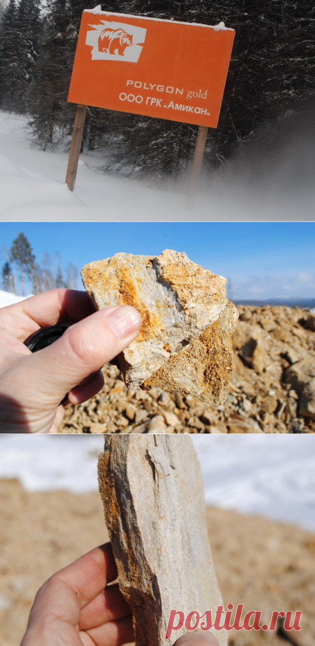 ERUDA.RU - ООО ГРК АМИКАН /новости золотодобывающих компаний Красноярского края, вакансии, работа, вахта, требуются, трудоустройство, золотодобыча рудник прииск золото