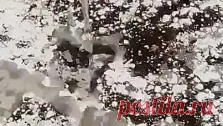 Простые домашние средства для уборки