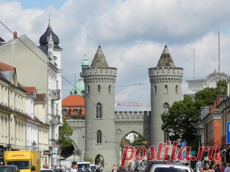 В Потсдаме в жилом доме в спальне обнаружили ядовитую змею – всего их оказалось в квартире 15 – DG-News