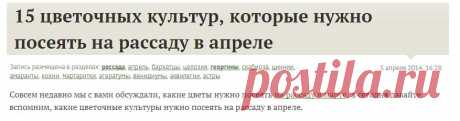 15 цветочных культур, которые нужно посеять на рассаду в апреле / рассада / 7dach.ru