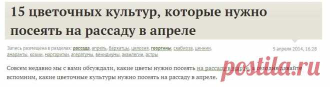 15 цветочных культур, которые нужно посеять на рассаду в апреле / рассада / 7dach.ru