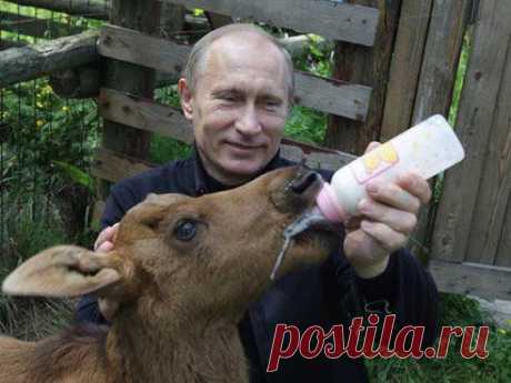 (44) Одноклассники