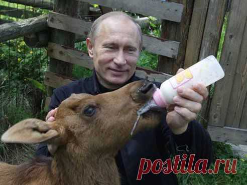 (44) Одноклассники