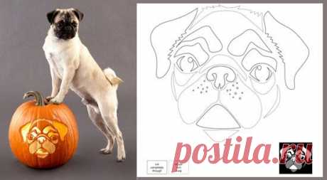 22 Downloadable Dog Breed Pumpkin Stencils