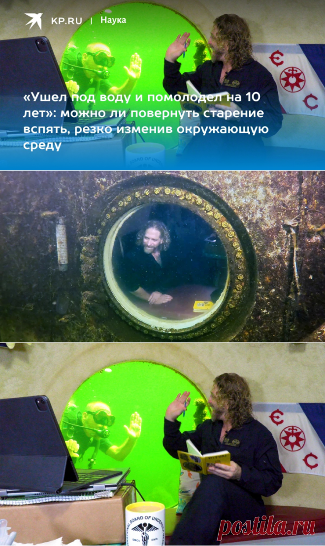 2023-«Ушел под воду и помолодел на 10 лет»: можно ли повернуть старение вспять, резко изменив окружающую среду - KP.RU