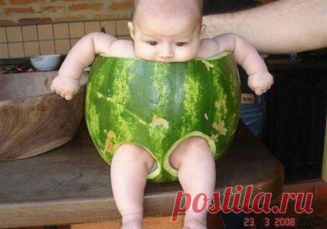 В новых подгузниках Хаггис ваш малыш может пить столько же, сколько слоники.