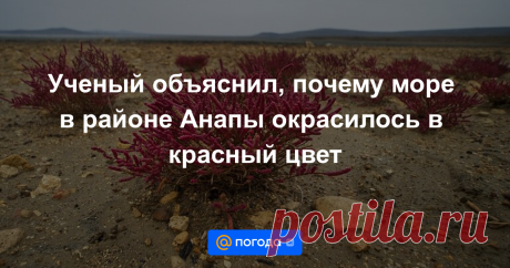 14-7-22-Ученый объяснил, почему море в районе Анапы окрасилось в красный цвет Черное море в Анапе окрасилось в красный цвет из-за водорослей, которые шторм разбил на многочисленные нитевидные частицы и принес к берегу, рассказал РИА Новости старший научный сотрудник Института океанологии РАН Филипп Сапожников.