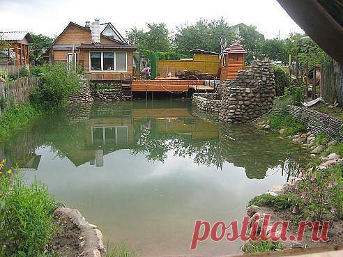 (1) Одноклассники