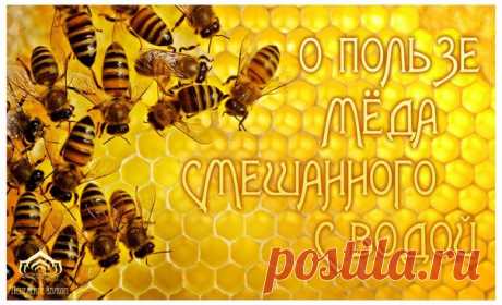 О ПОЛЬЗЕ МЁДА СМЕШАННОГО С ВОДОЙ