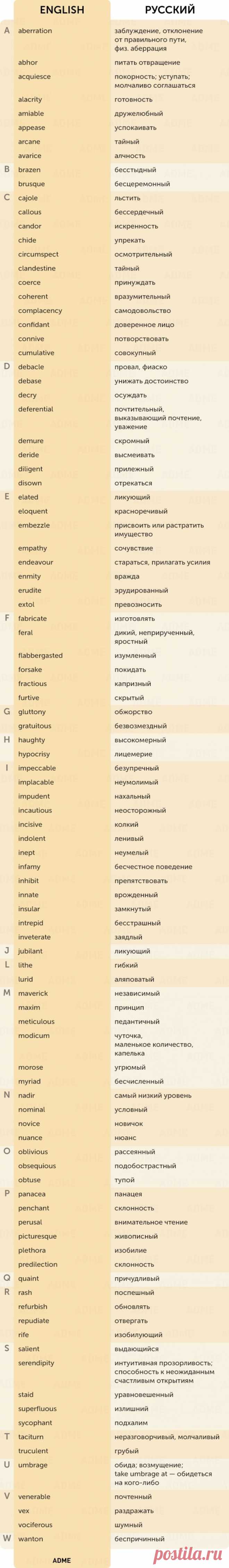 100 английских слов, знанием которых вы будете гордиться