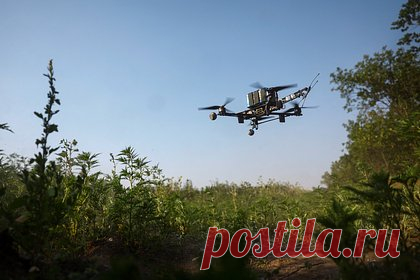 Операцию Украины с запуском дронов из домов на колесах сорвали в двух российских регионах
