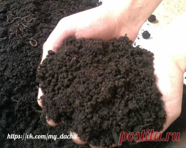 ➡ Моя Уютная Дача, сад и огород ✔ Подпишись | ВКонтакте