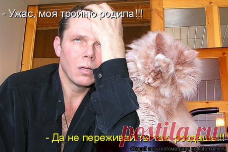 kotomatritsa_J.jpg (Изображение JPEG, 750 × 500 пикселов)