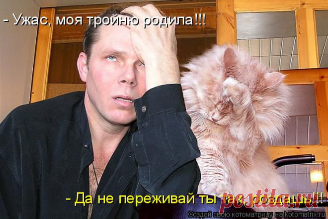 kotomatritsa_J.jpg (Изображение JPEG, 750 × 500 пикселов)