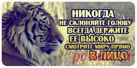 Мотивирующие и вдохновляющие картинки
