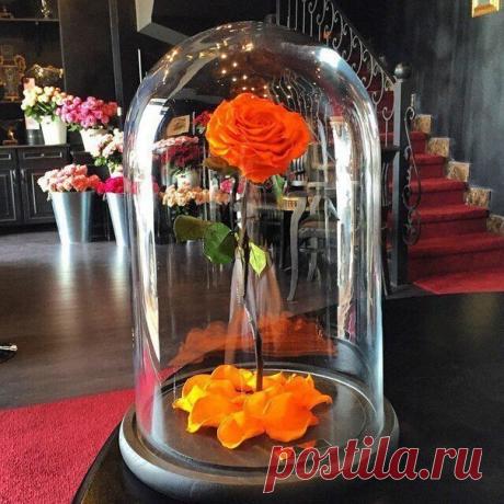 Букеты из конфет●Топиарии●Оригинальные подарки