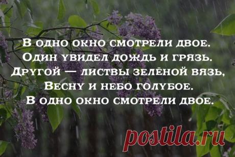 (55) Одноклассники