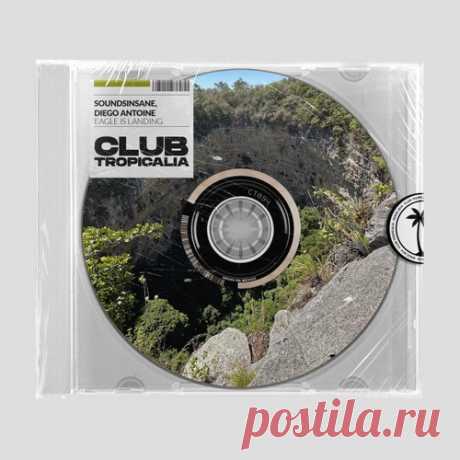 Soundsinsane x Diego Antoine - Eagle Is Landing [Club Tropicalia]