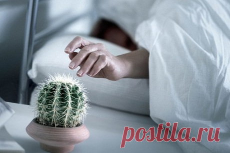 Не выспались? 7 советов, как взбодриться — Интересные факты