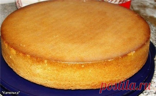 САМЫЕ ПОПУЛЯРНЫЕ РЕЦЕПТЫ БИСКВИТОВ