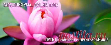 О сожалении «  Harmony of The Soul