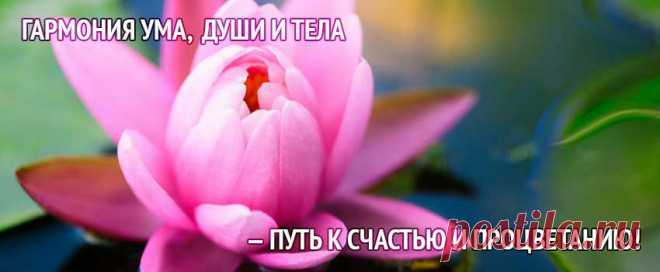 О сожалении «  Harmony of The Soul