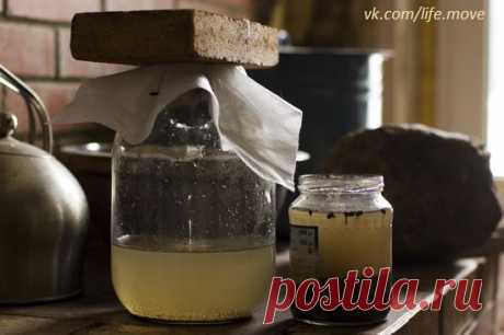 Щелок — мыло из золы. Просто, экологично, полезно | Движение Жизни