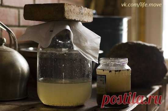 Щелок — мыло из золы. Просто, экологично, полезно | Движение Жизни