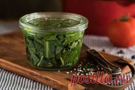 Заготовки на зиму: щавель консервированный