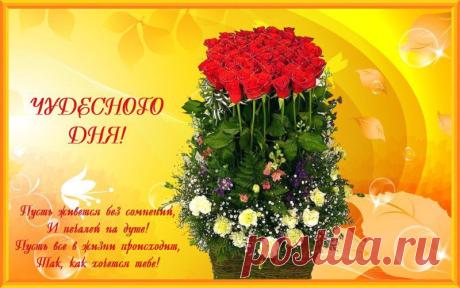 ZHANNA*****: Я не хочу «наполовину» Солнца, Мне половина неба - ни к чему… «Наполовину» песня -оборвется, Любви «наполовину» - не приму! Наполовину вместе-значит порознь,Наполовину искренность-вранье!Наполовину смелость-значит подлость,«Наполовину»- ЭТО -точно не МОЁ!