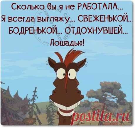 (210) Pinterest
