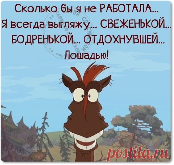 (210) Pinterest