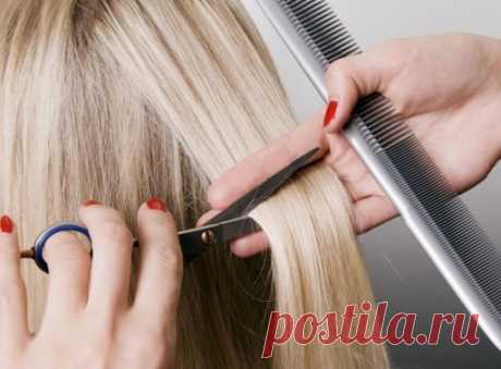 Звёздный цирюльник: лунный календарь стрижек на сентябрь 2016 года | Imenno.ru